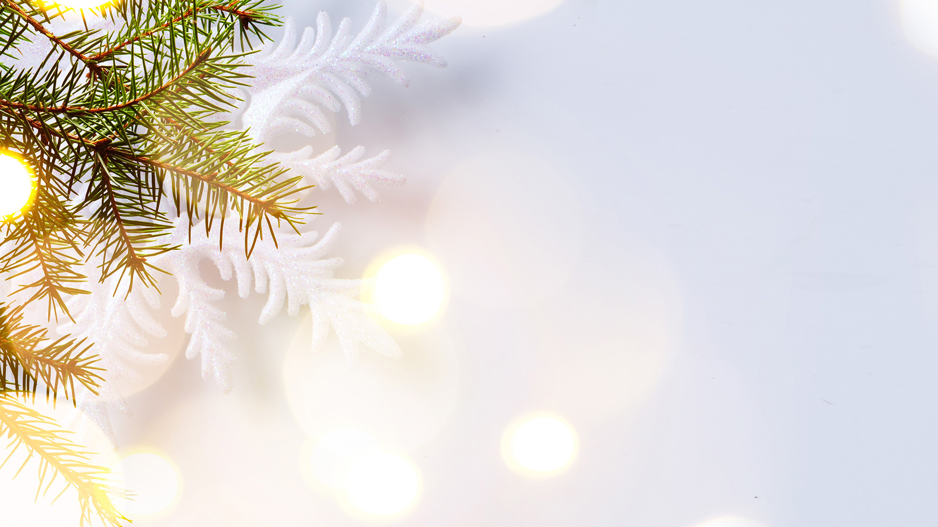 Elegant Background Christ Journey